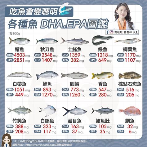 好魚排行榜|吃魚補腦、增強保護力！營養師激推「Top10好魚」 魚。